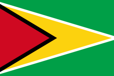 Flag_of_Guyana Flag_of_Guyana